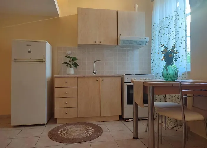 Caesar Cozy In Ermoupoli